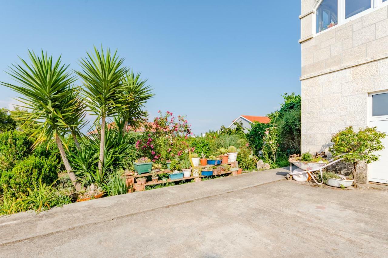 Studio Vijad Sutivan Dış mekan fotoğraf